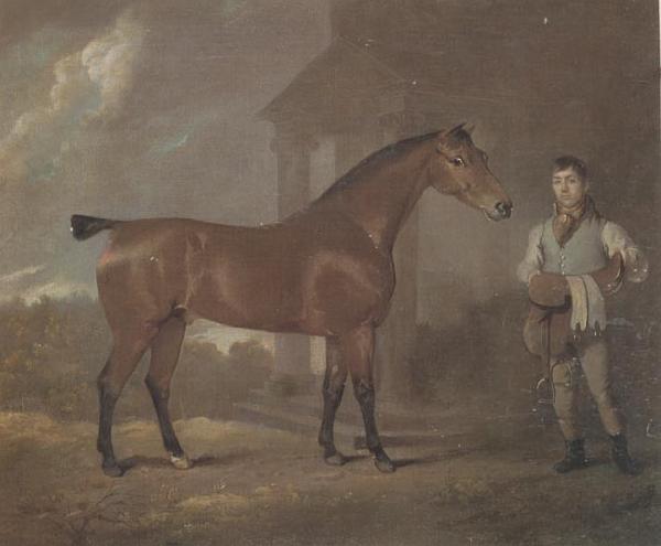 David Dalby The Racehorse 'Woodpecker' in a stall France oil painting art